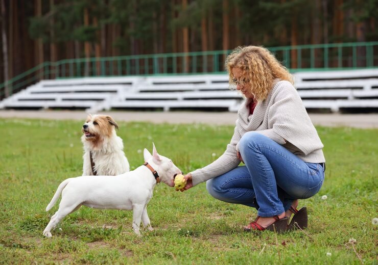 Private Puppy Training for a Lifetime of Good Behavior